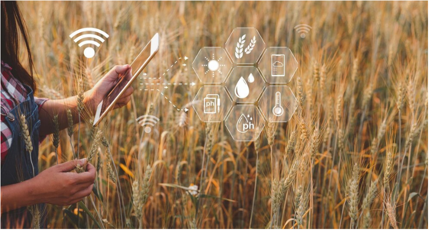 IOT SENSORS, THE KEY TO AUTOMATING PROCESSES IN AGRICULTURE - App Maisters