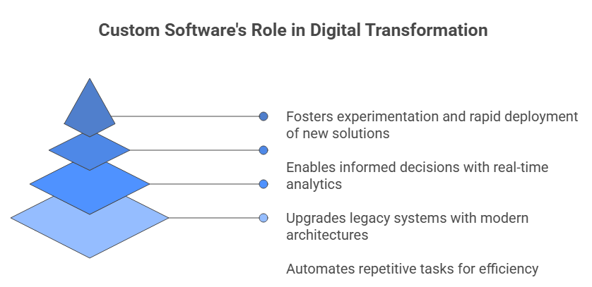 Custom Software's Role in Digital Transformation